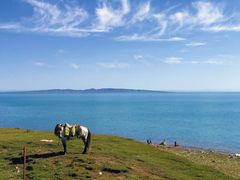 -青海湖国家重点风景名胜区
