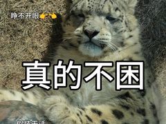 -青藏高原野生动物园