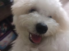 -南京众彩农副产品配送有限公司