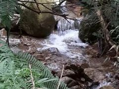 -北仑森林植物园