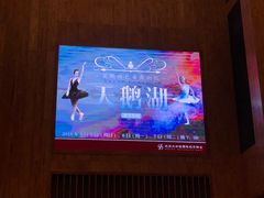 -北京大学百年讲堂