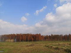 -四明湖