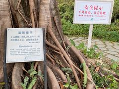 -碧水湾温泉