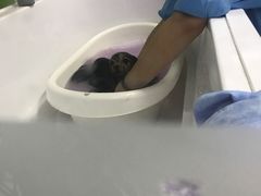 -宠颐生中康贝怡动物医院