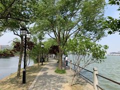 -无锡蠡湖国家湿地公园-蠡园