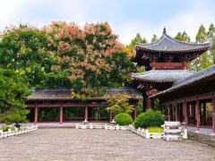 -祥源·阜阳生态乐园