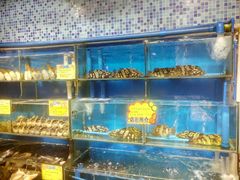 -蚝专家(北滘店)