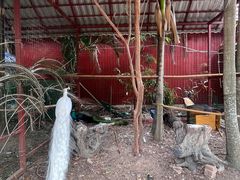 -西双版纳总佛寺