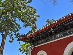 -北京艺术博物馆(万寿寺)