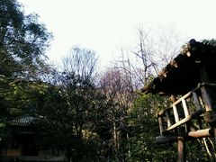 android_upload_pic-穹窿山景区