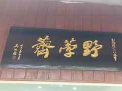 -野荸荠