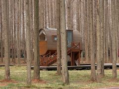 -黄海国家森林公园