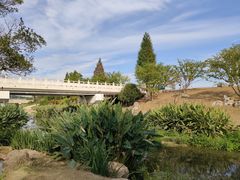 -羊山湖公园