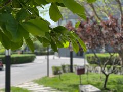 -有礼有面(知春路店)