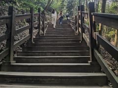 -凤栖山