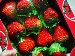 -Olé精品超市(太原万象城店)