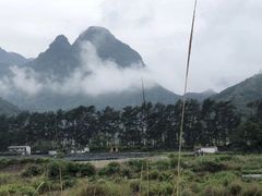 -嘉定紫藤园