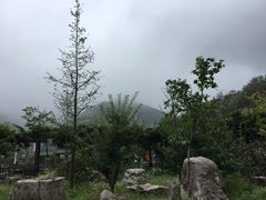 -黄花溪