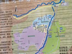 -汤旺河林海奇石景区