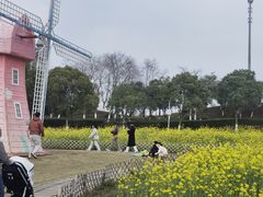 -九龙湖公园