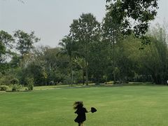 -中国科学院西双版纳热带植物园