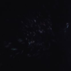 -凡碧诗毛孔收细