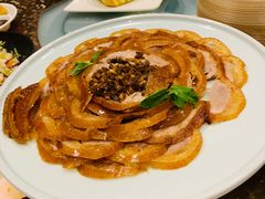 -北国之春国宴(乌兰察布店)