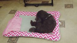 店内环境-杉惠素颜美妆皮肤管理中心