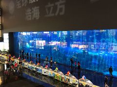 -成都浩海立方海洋公园