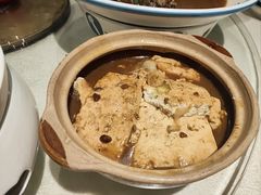 -邵年鸽(杨庄店)