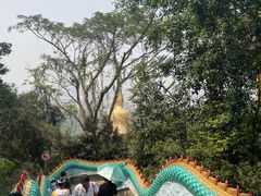 -西双版纳勐泐文化旅游区