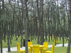 休闲座椅-林海公园