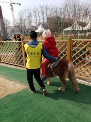 -萌宠亲子动物乐园(槐房万达店)