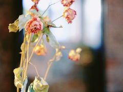 -VOYAGE COFFEE(北锣鼓巷店)