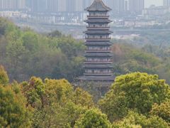 -重庆园博园