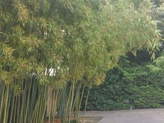 -上海市龙华烈士陵园