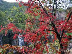 -百里山水画廊乌龙峡谷