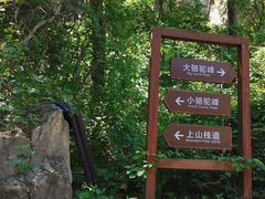 -大岭沟猕猴桃谷风景区