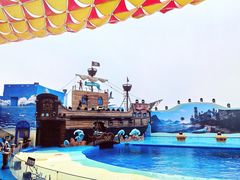 -海合安青岛极地海洋公园