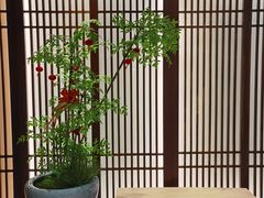 -康逸居·始于2002(海安店)