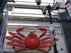 -蟹道乐(道顿堀本店)