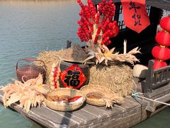 -苏州太湖湖滨国家湿地公园