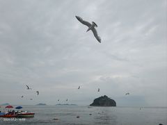 -棒棰岛宾馆景区