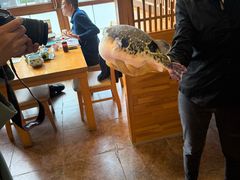 -天正河鲀·河豚亭(大连店)