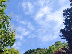 -西安祥峪森林公园