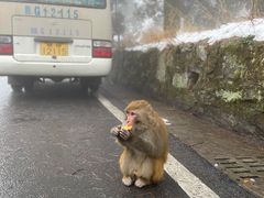 -庐山风景区花径公园