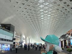 -杭州萧山国际机场