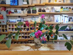 -今日陶艺(富力广场店)