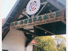 -上海海湾国家森林公园