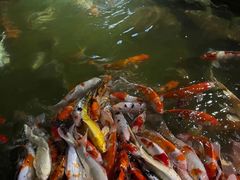 -海合安青岛极地海洋公园